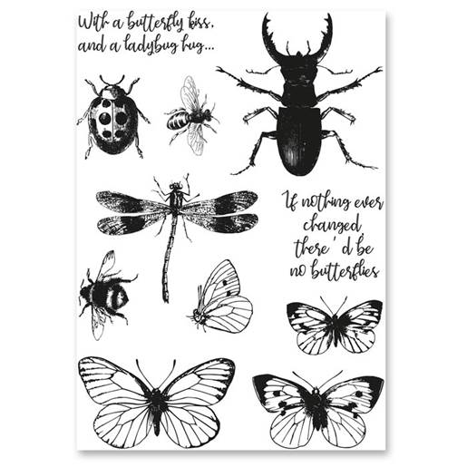 bugs&butterflies